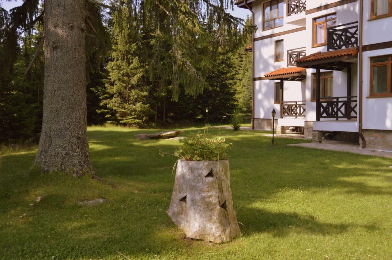 Northstar Ski Apartment In Mountain Lake Hotel Pamporovo Extérieur photo
